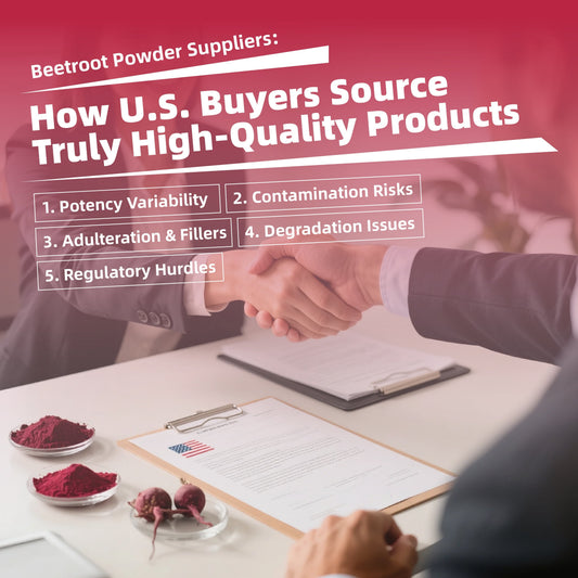 Beetroot Powder Suppliers: How U.S. Buyers Source Truly High-Quality Products