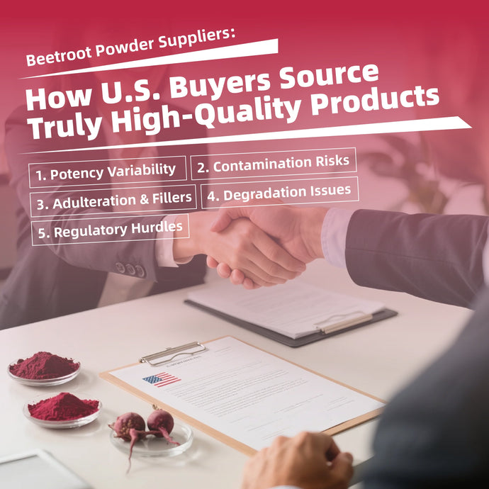 Beetroot Powder Suppliers: How U.S. Buyers Source Truly High-Quality Products