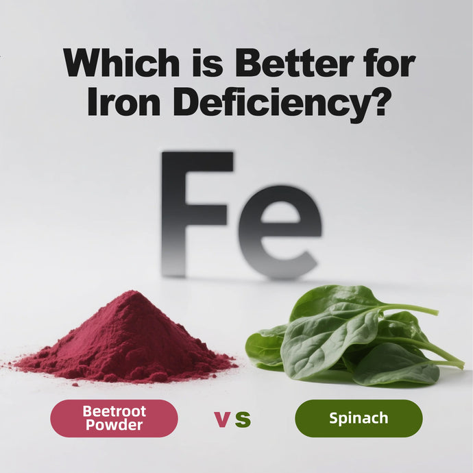 Beetroot Powder vs. Spinach: Which is Better for Iron Deficiency?