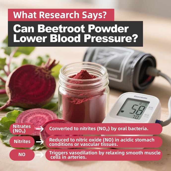 Can Beetroot Powder Lower Blood Pressure? What Research Says?