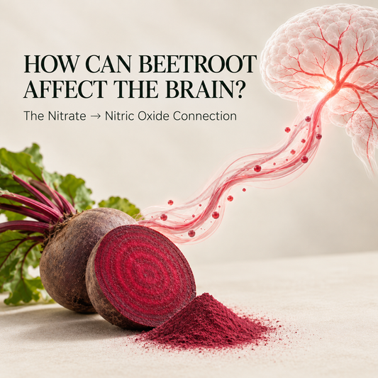 How Can Beetroot Affect the Brain? The Nitrate → Nitric Oxide Connection