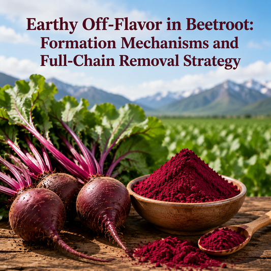Earthy Off-Flavor in Beetroot: Formation Mechanisms and Full-Chain Removal Strategy