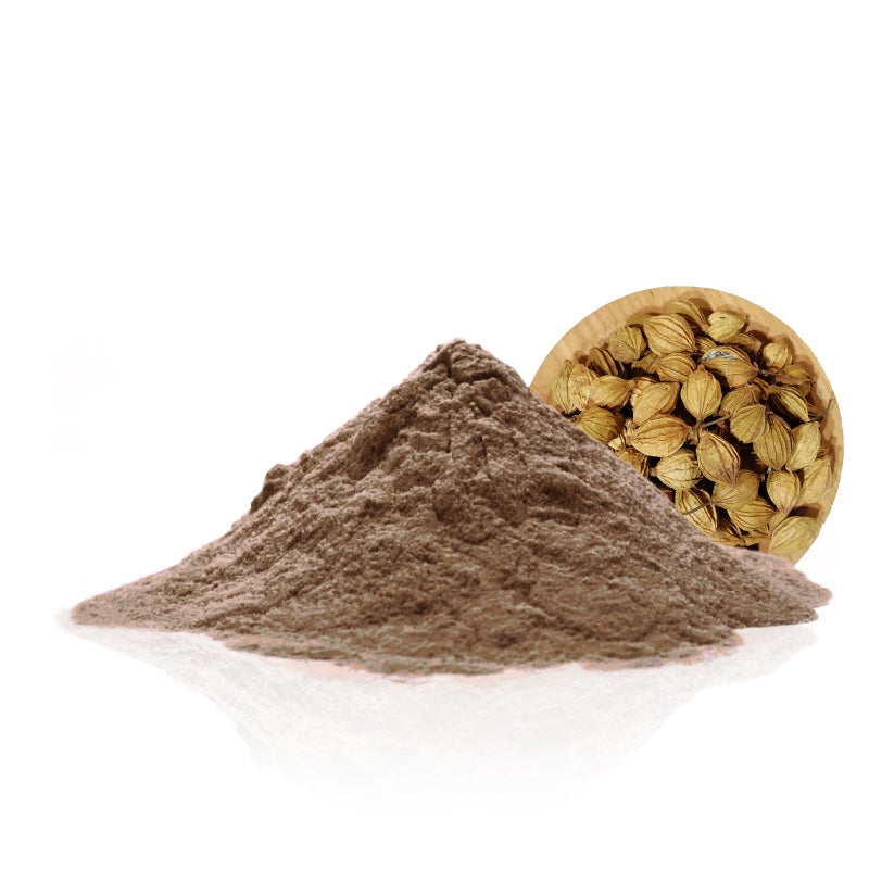 Amomum Villosum (Cardamom) Powder