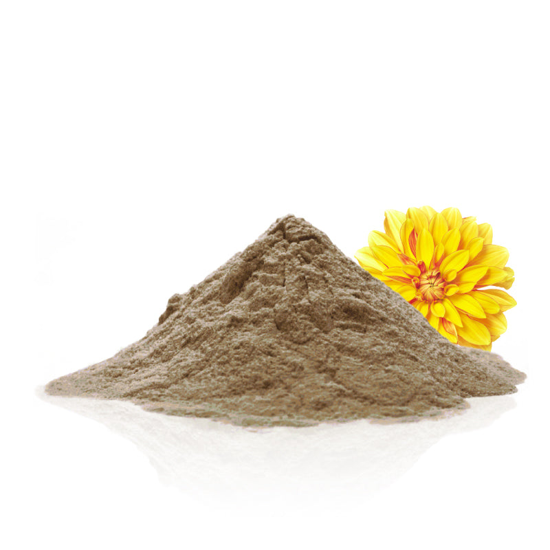 Chrysanthemum Powder