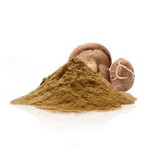 Conventional Shiitake Powder
