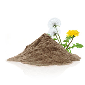 Dandelion Powder