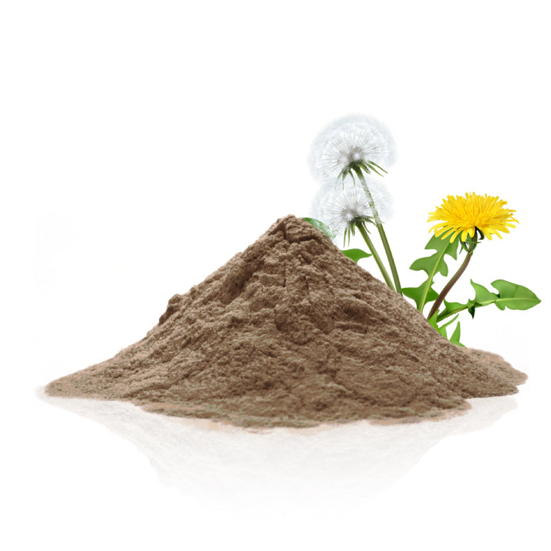 Dandelion Powder