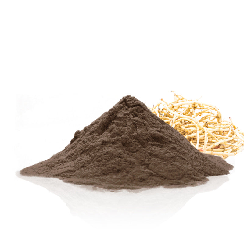 Houttuynia Cordata Powder