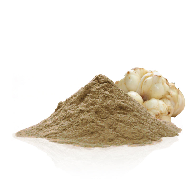 Lily Bulb Powder