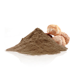 Lion's Mane Mushroom Powder