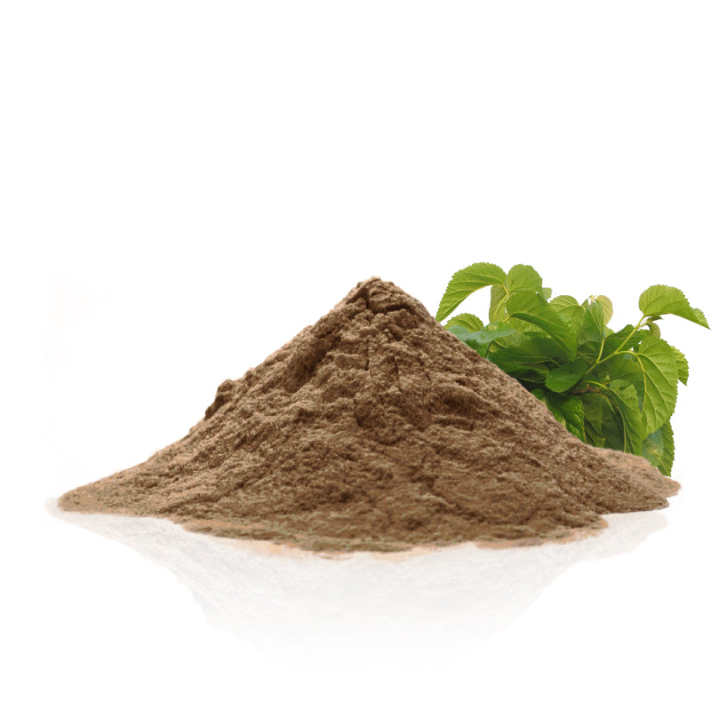 Mulberry Leaf Powder