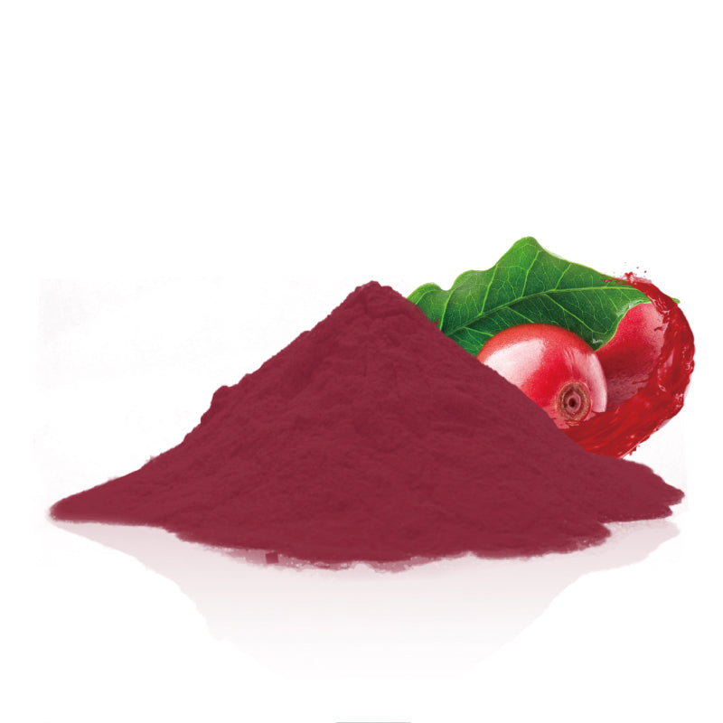 Organic Cranberry Juice Powder