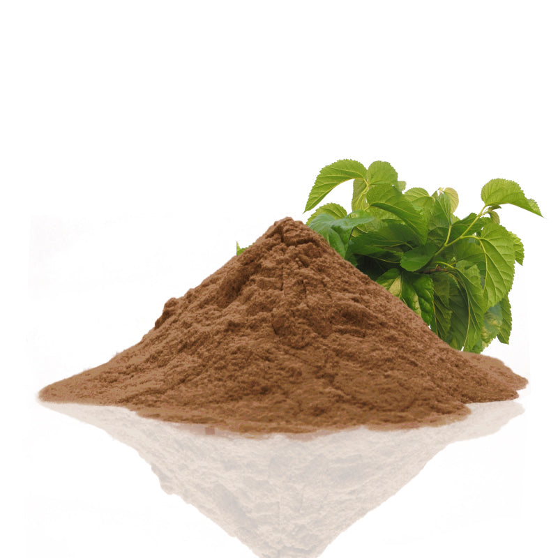 Organic Mulberry Leaf Extract 4:1