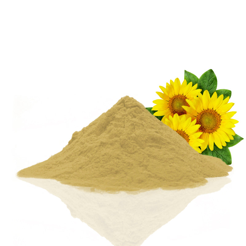 Organic Sunflower Seed Protein 50%