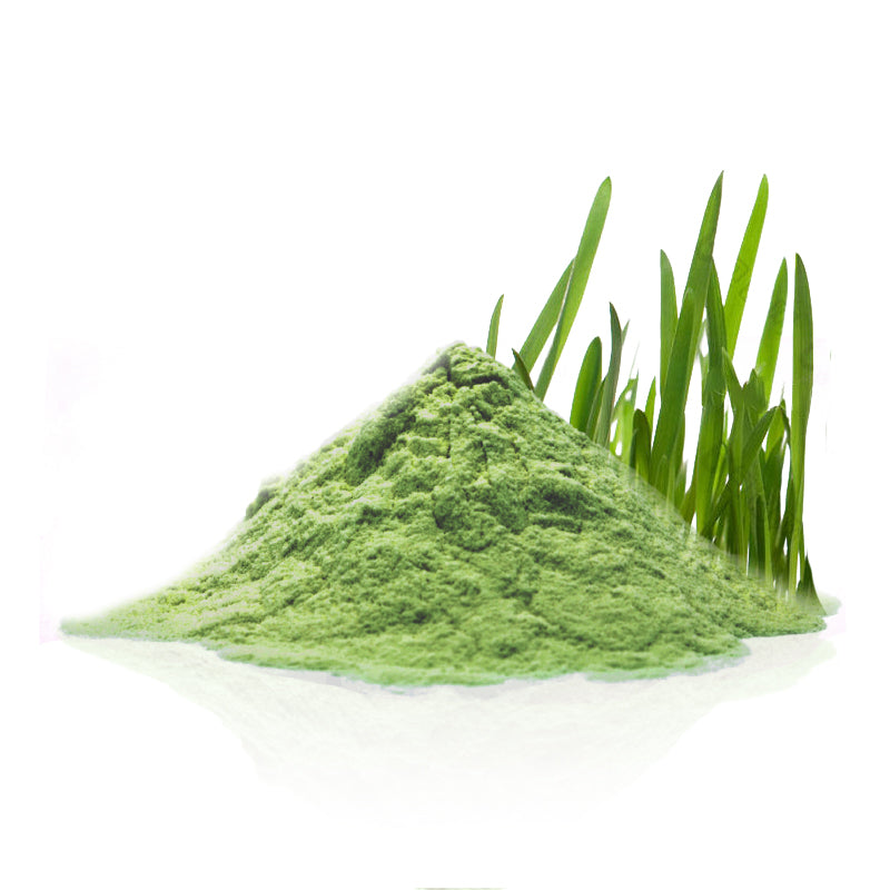 Organic Barley Grass Powder