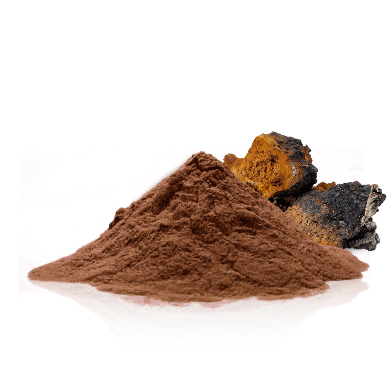 Organic Chaga powder  (Inonotus obliquus)