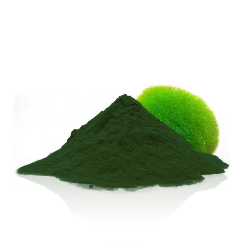 Organic Chlorella Powder