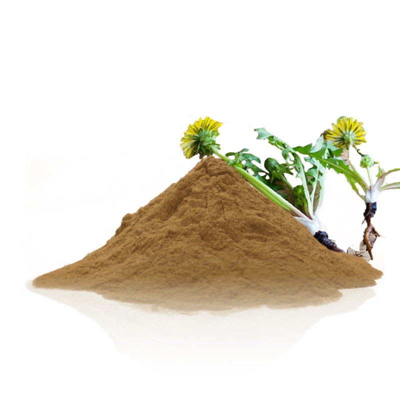 Organic Dandelion Root Powder