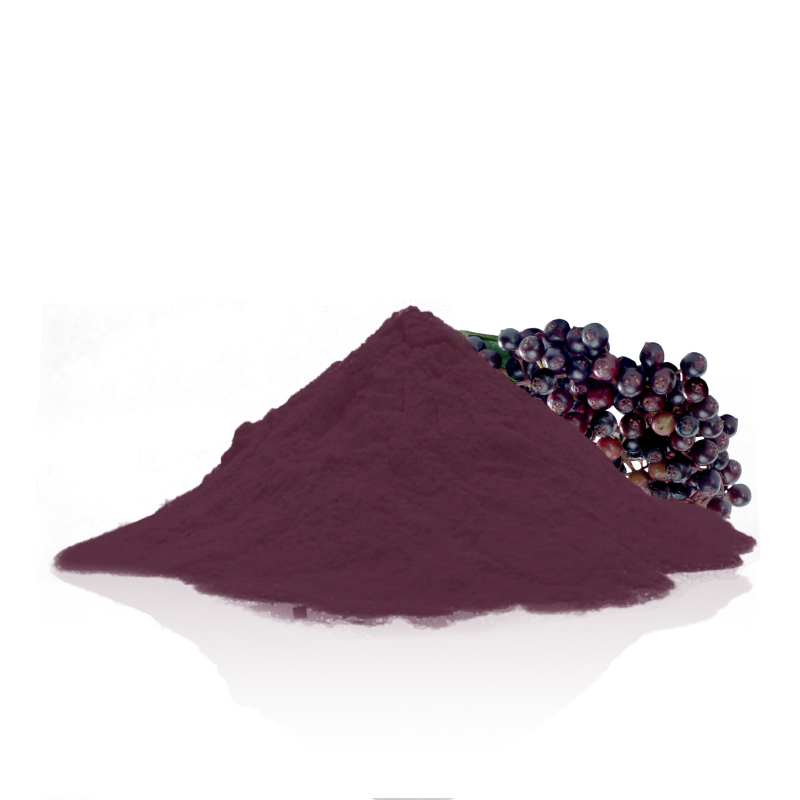 Organic Elderberry Powder