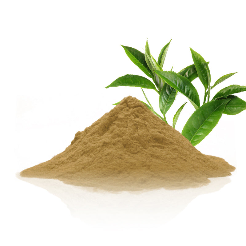 Organic Green Tea Leaves Powder