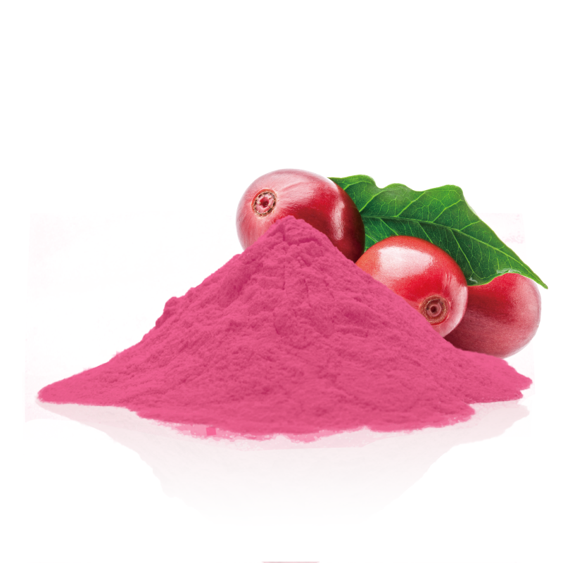 Organic Instant Pure Cranberry Juice Powder