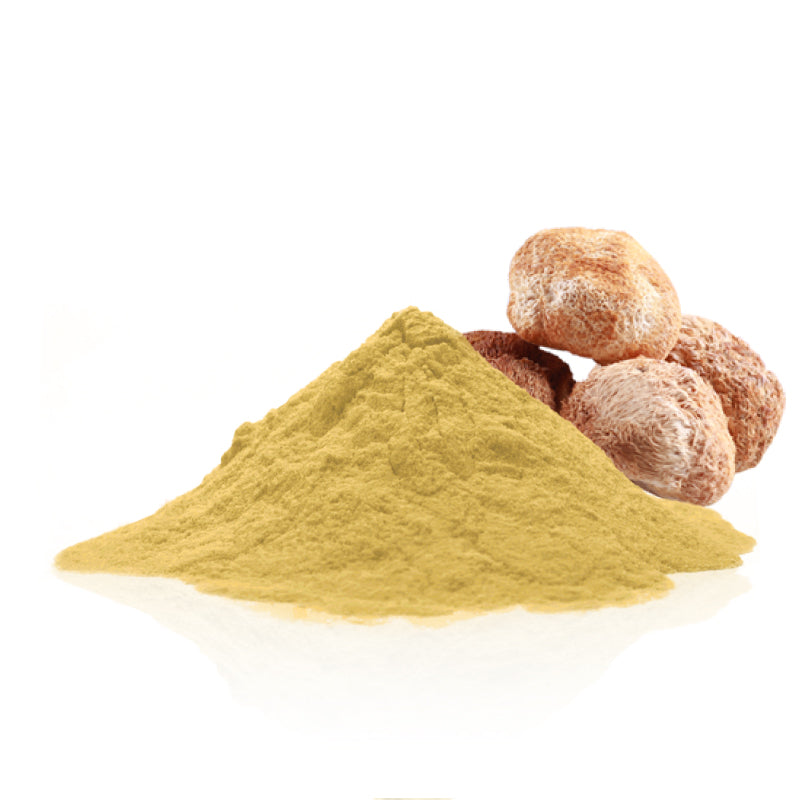 Organic Lion’s Mane Powder