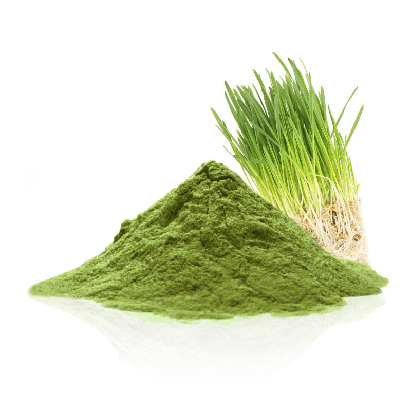 Organic Oat Grass Powder