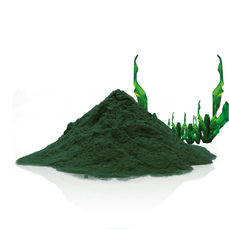 Organic Spirulina Powder