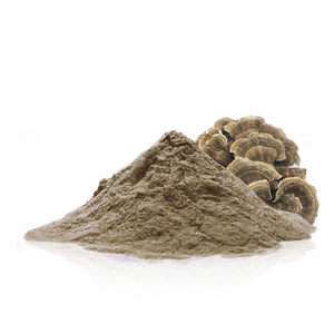 Organic Turkey Tail powder (Trametes versicolor)
