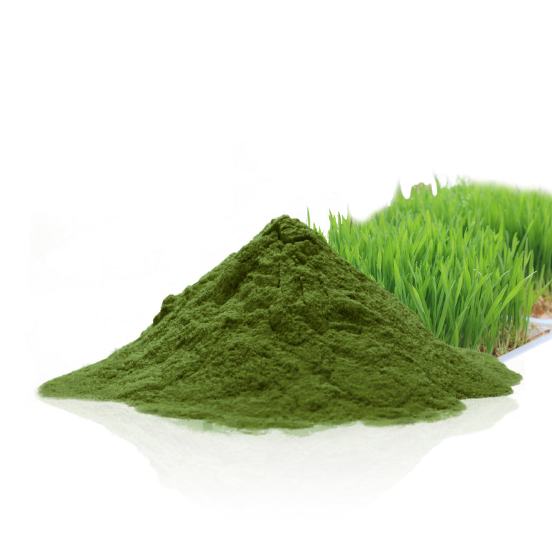 Organic Wheat Grass Powder