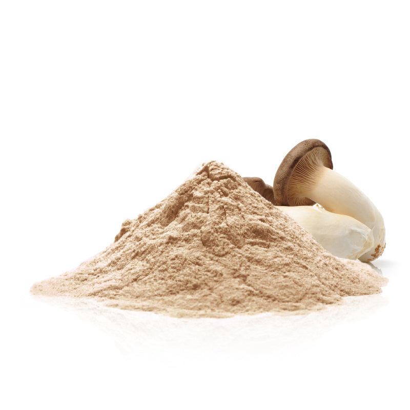 Organic king Oyster powder  (Pleutrotus eryngii)