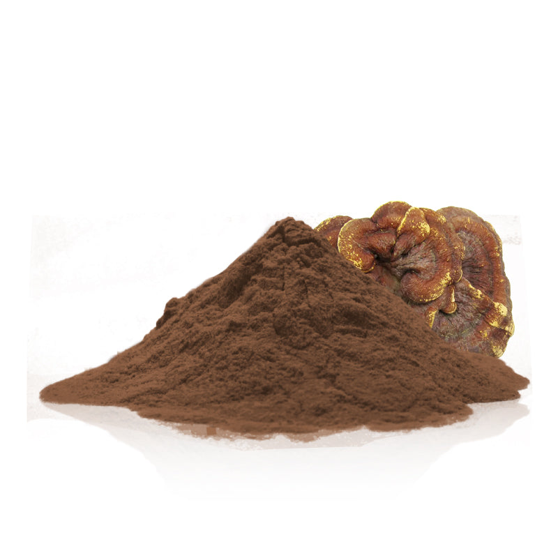 Organic reishi  powder (ganoderma lucidum)