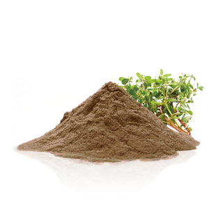Purslane Powder