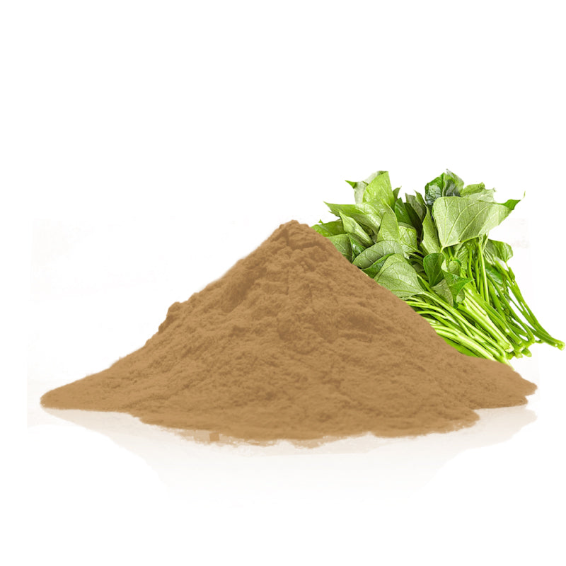 Sweet potato leaves extract powder