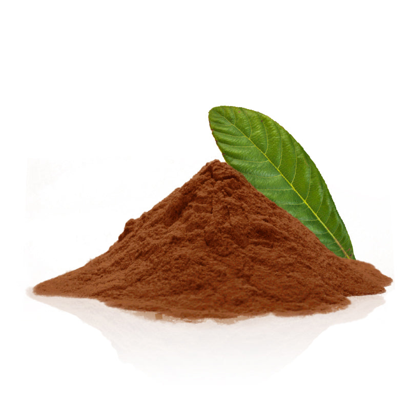 loquat leaf powder